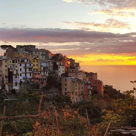 Terre Apartment Corniglia Extérieur photo